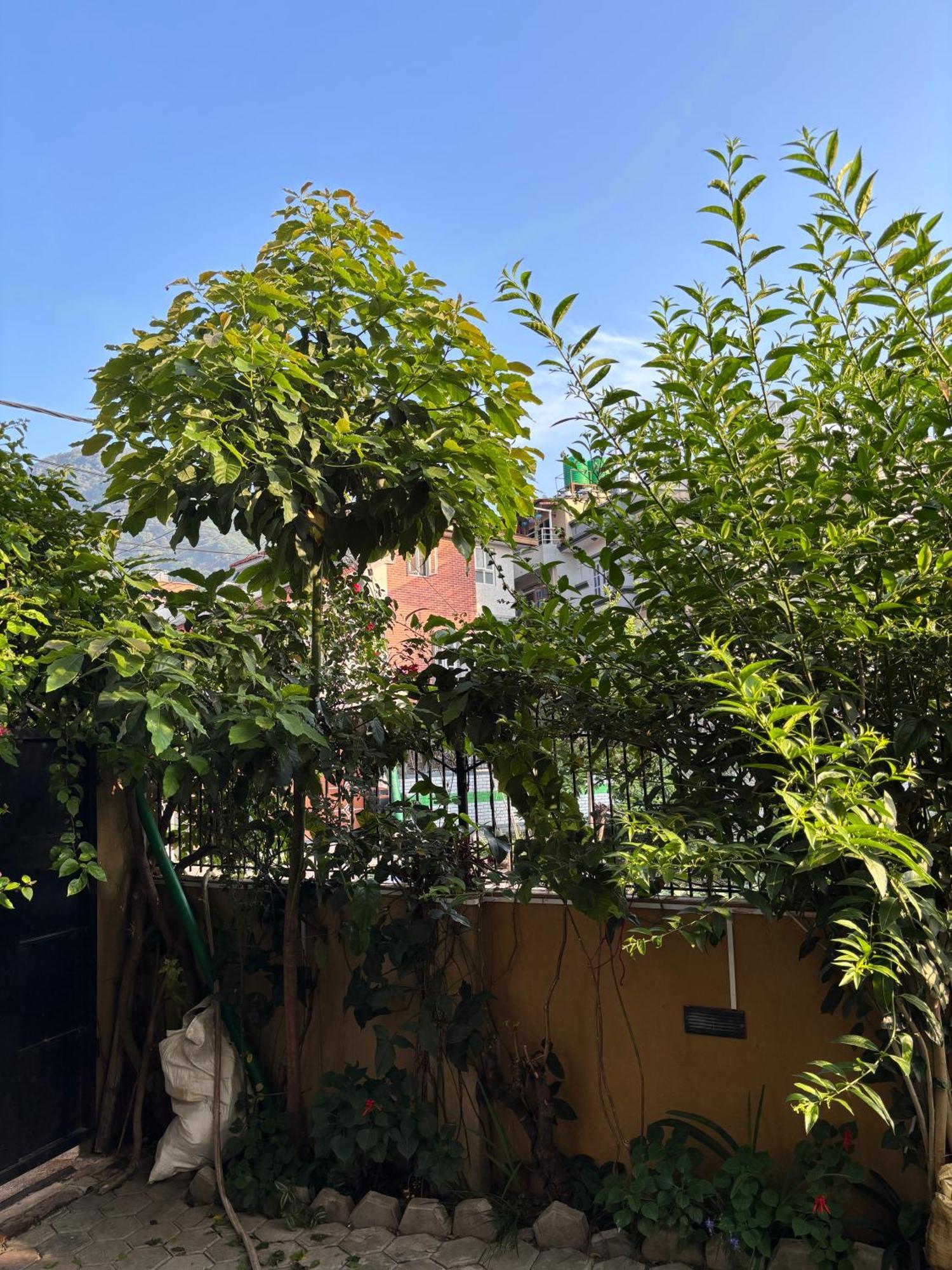 Mums Homestay & Studio Apartments Kathmandu Buitenkant foto